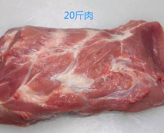 20斤肉是多大一坨真实照片