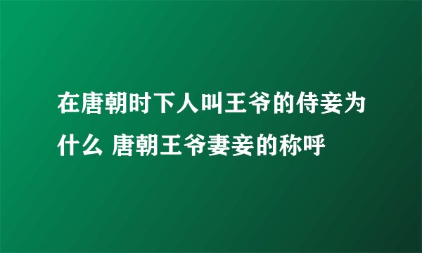 在唐朝时下人叫王爷的侍妾为什么 唐朝王爷妻妾的称呼