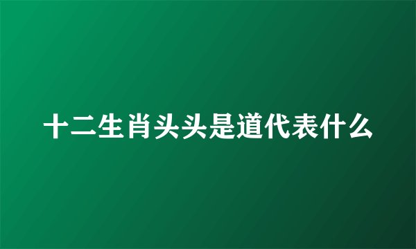十二生肖头头是道代表什么
