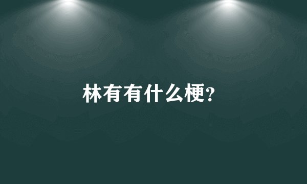 林有有什么梗？