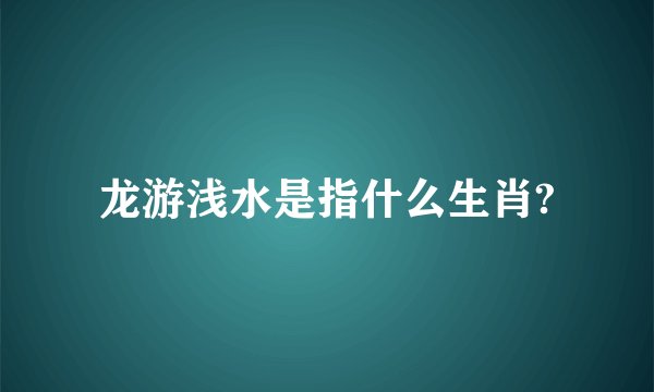 龙游浅水是指什么生肖?