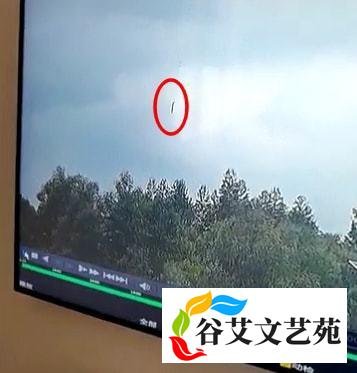 东航客机为何会垂直坠落？请兼听疑问
