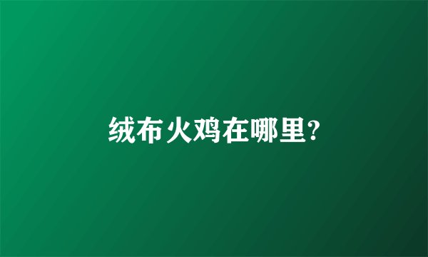 绒布火鸡在哪里?