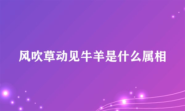风吹草动见牛羊是什么属相