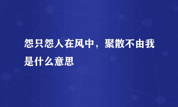 怨只怨人在风中，聚散不由我是什么意思