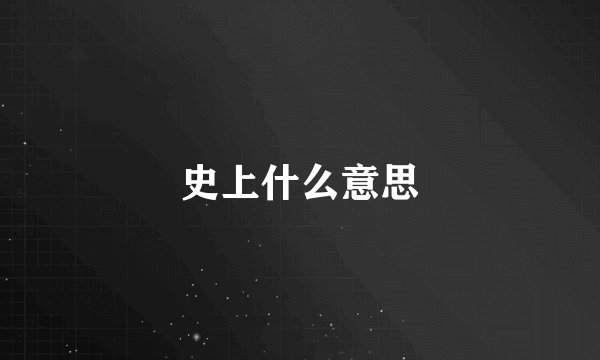 史上什么意思