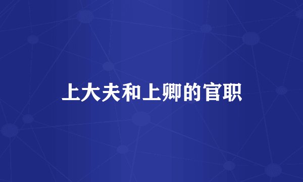 上大夫和上卿的官职