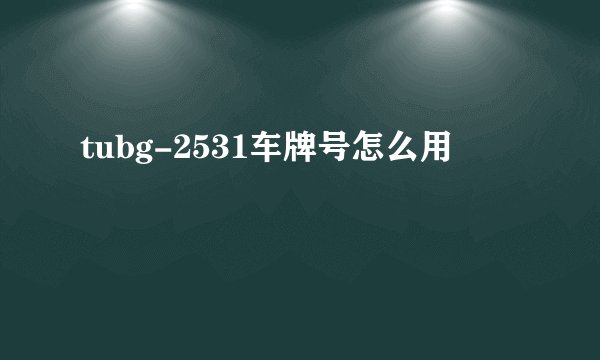 tubg-2531车牌号怎么用