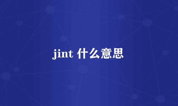 jint 什么意思