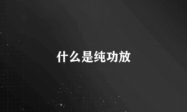 什么是纯功放