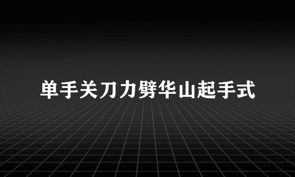 单手关刀力劈华山起手式