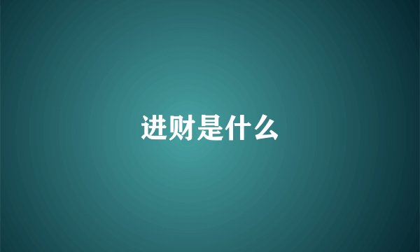 进财是什么