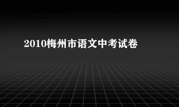 2010梅州市语文中考试卷