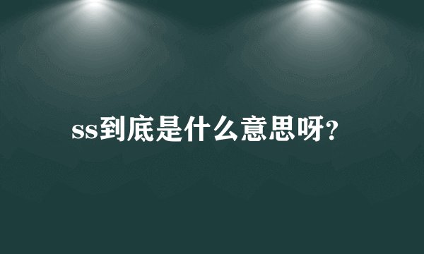 ss到底是什么意思呀?