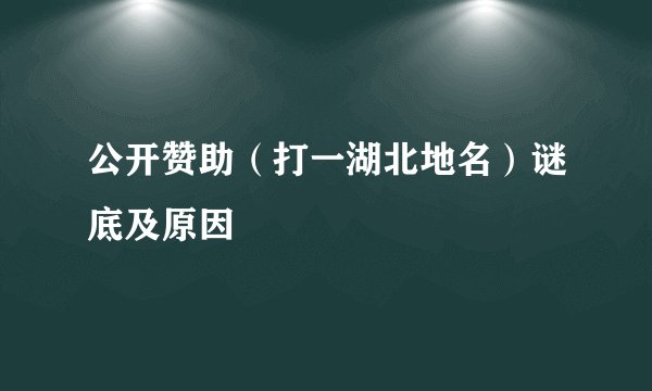 公开赞助（打一湖北地名）谜底及原因