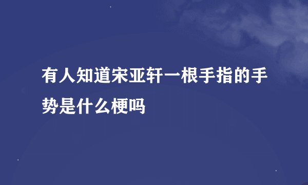 有人知道宋亚轩一根手指的手势是什么梗吗