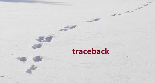 traceback什么意思?