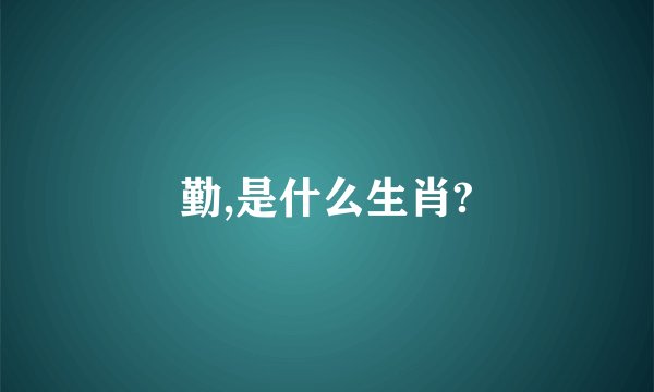 勤,是什么生肖?