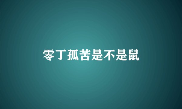零丁孤苦是不是鼠