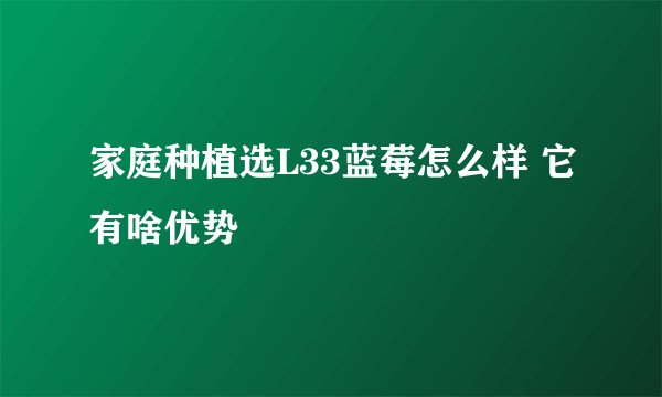 家庭种植选L33蓝莓怎么样 它有啥优势