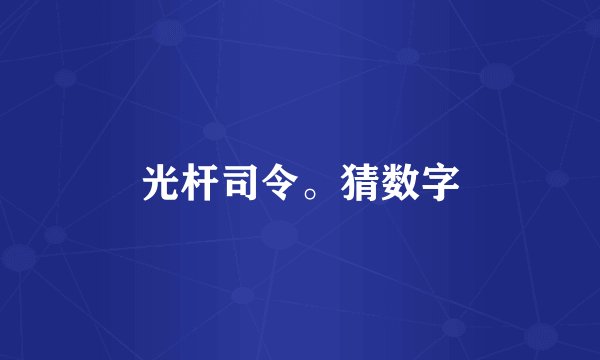 光杆司令。猜数字