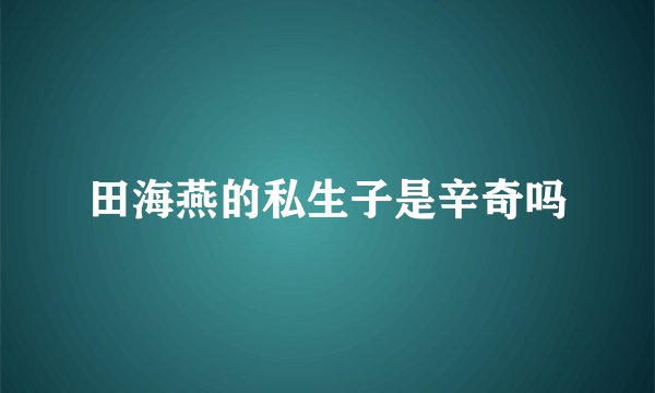 田海燕的私生子是辛奇吗