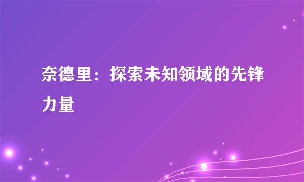 奈德里：探索未知领域的先锋力量