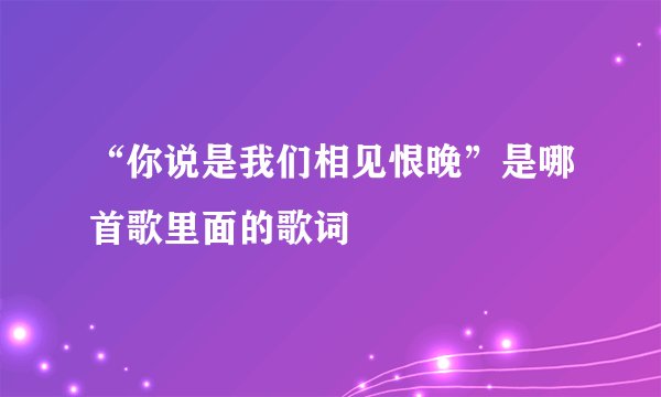 “你说是我们相见恨晚”是哪首歌里面的歌词