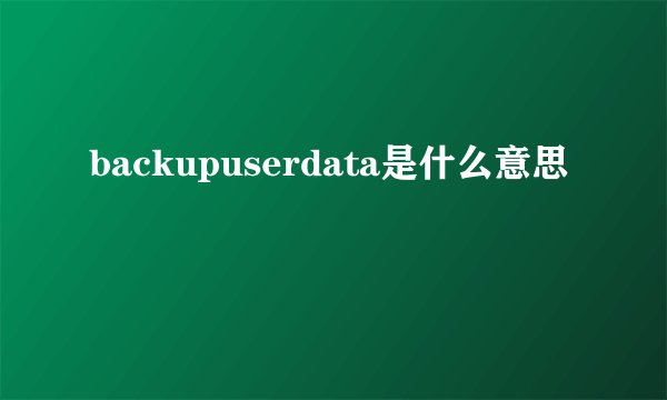 backupuserdata是什么意思