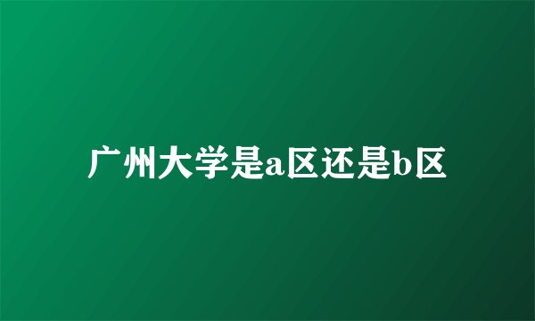 广州大学是a区还是b区
