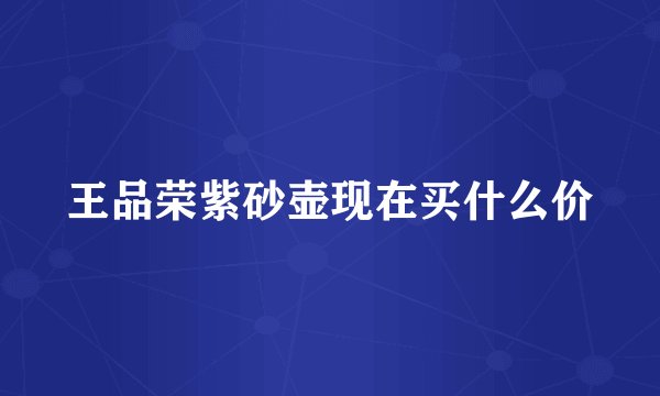 王品荣紫砂壶现在买什么价