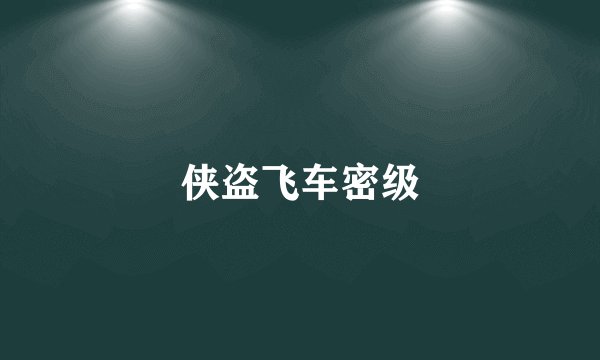 侠盗飞车密级