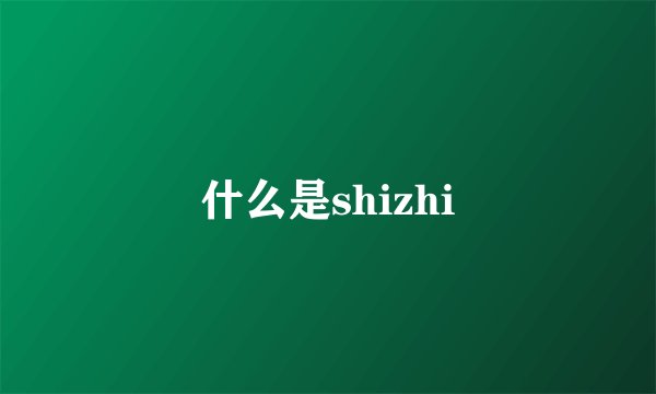 什么是shizhi