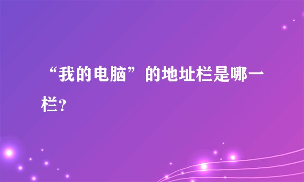 “我的电脑”的地址栏是哪一栏？