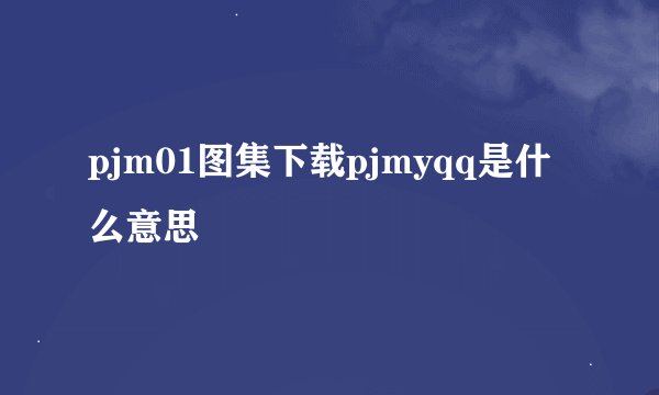 pjm01图集下载pjmyqq是什么意思