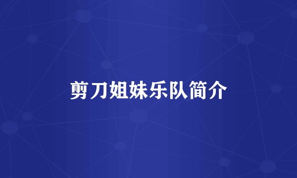 剪刀姐妹乐队简介