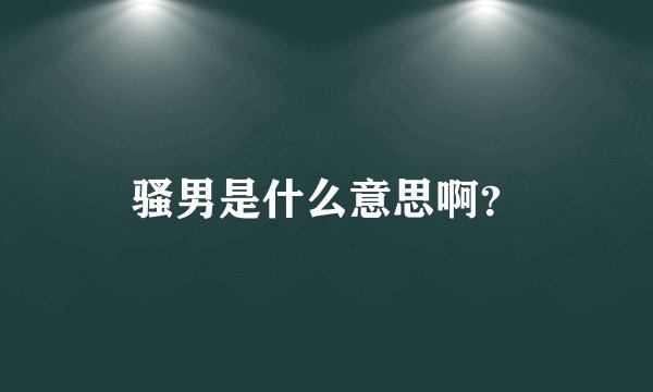 骚男是什么意思啊？