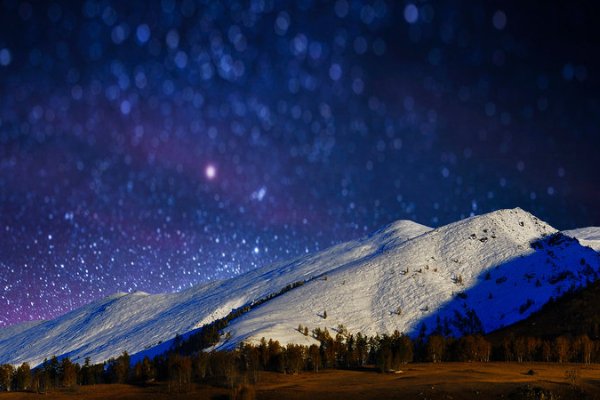 连更星夜是指什么生肖