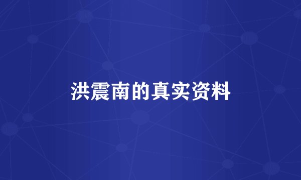 洪震南的真实资料