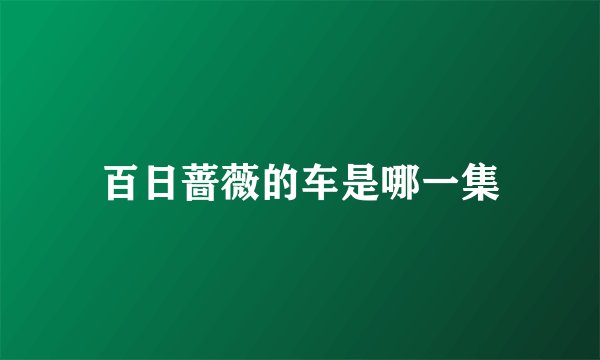 百日蔷薇的车是哪一集