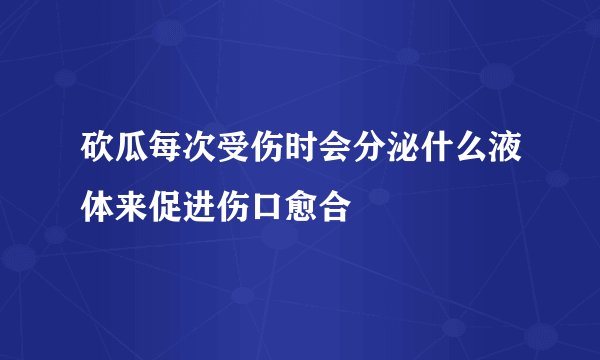 砍瓜每次受伤时会分泌什么液体来促进伤口愈合
