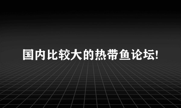 国内比较大的热带鱼论坛!