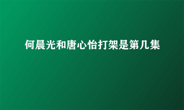 何晨光和唐心怡打架是第几集