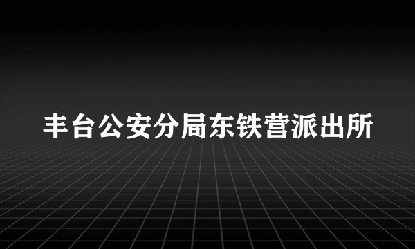 丰台公安分局东铁营派出所