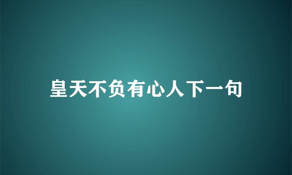 皇天不负有心人下一句