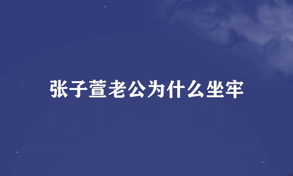 张子萱老公为什么坐牢