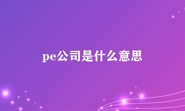 pe公司是什么意思