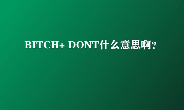 BITCH+ DONT什么意思啊？