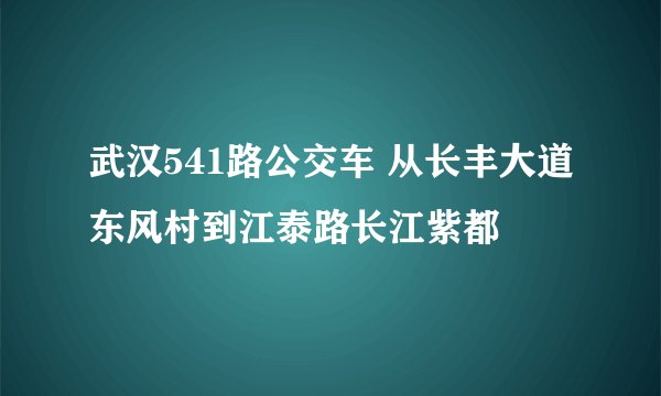 武汉541路公交车 从长丰大道东风村到江泰路长江紫都