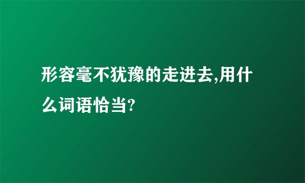 形容毫不犹豫的走进去,用什么词语恰当?